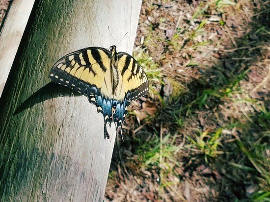 Clayton Community Park